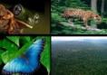 /album/fotogaleria/images-2-jpg1/